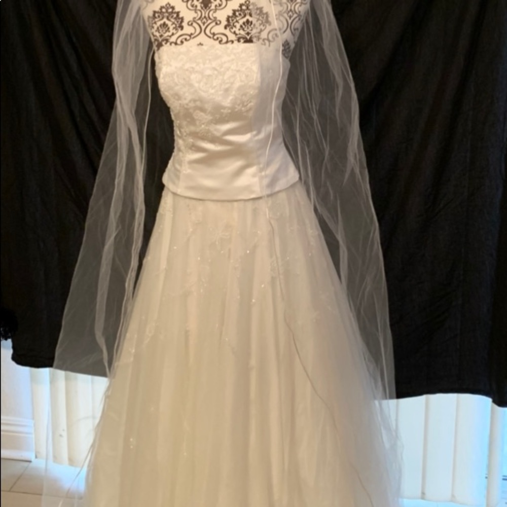 Beautiful Wedding Dress, veil, shall, Money dance bag.